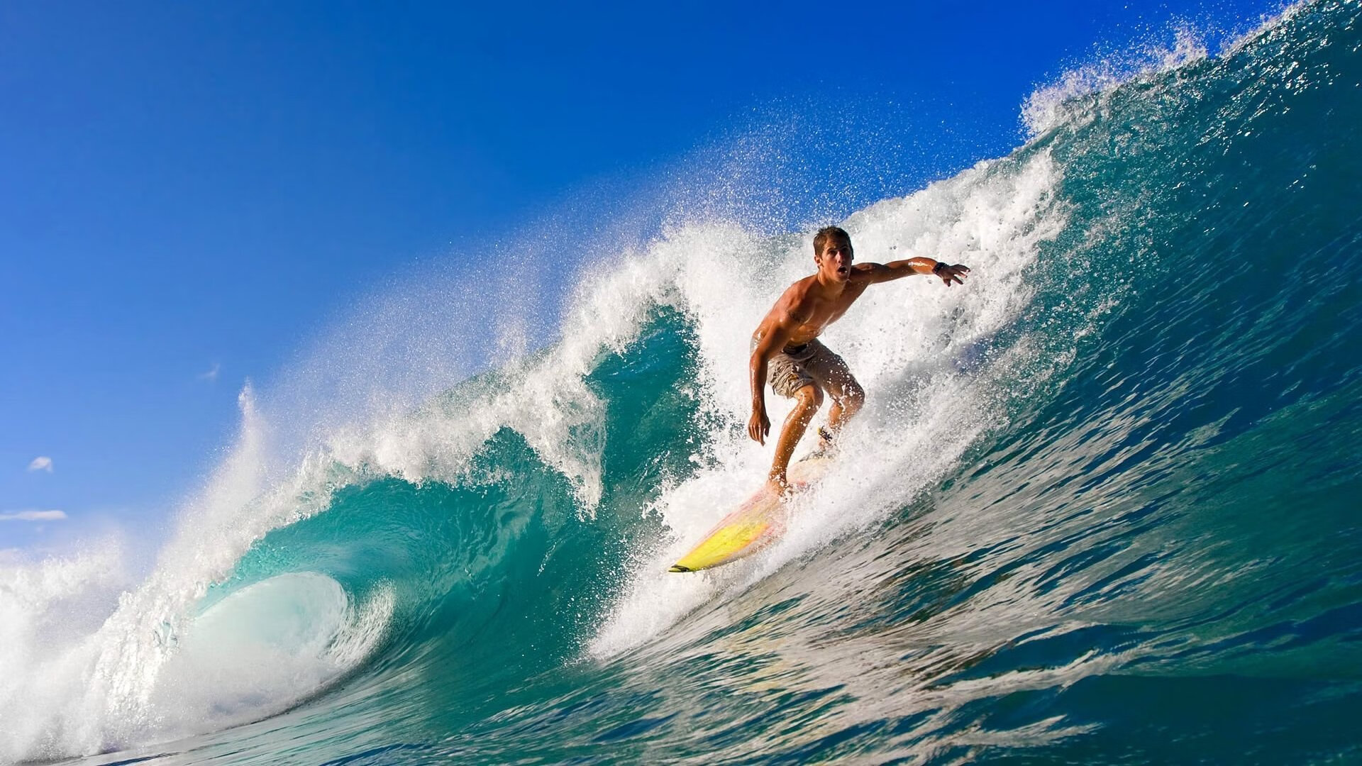 法甲未来掌门人：新星崭露头角！，法甲前瞻