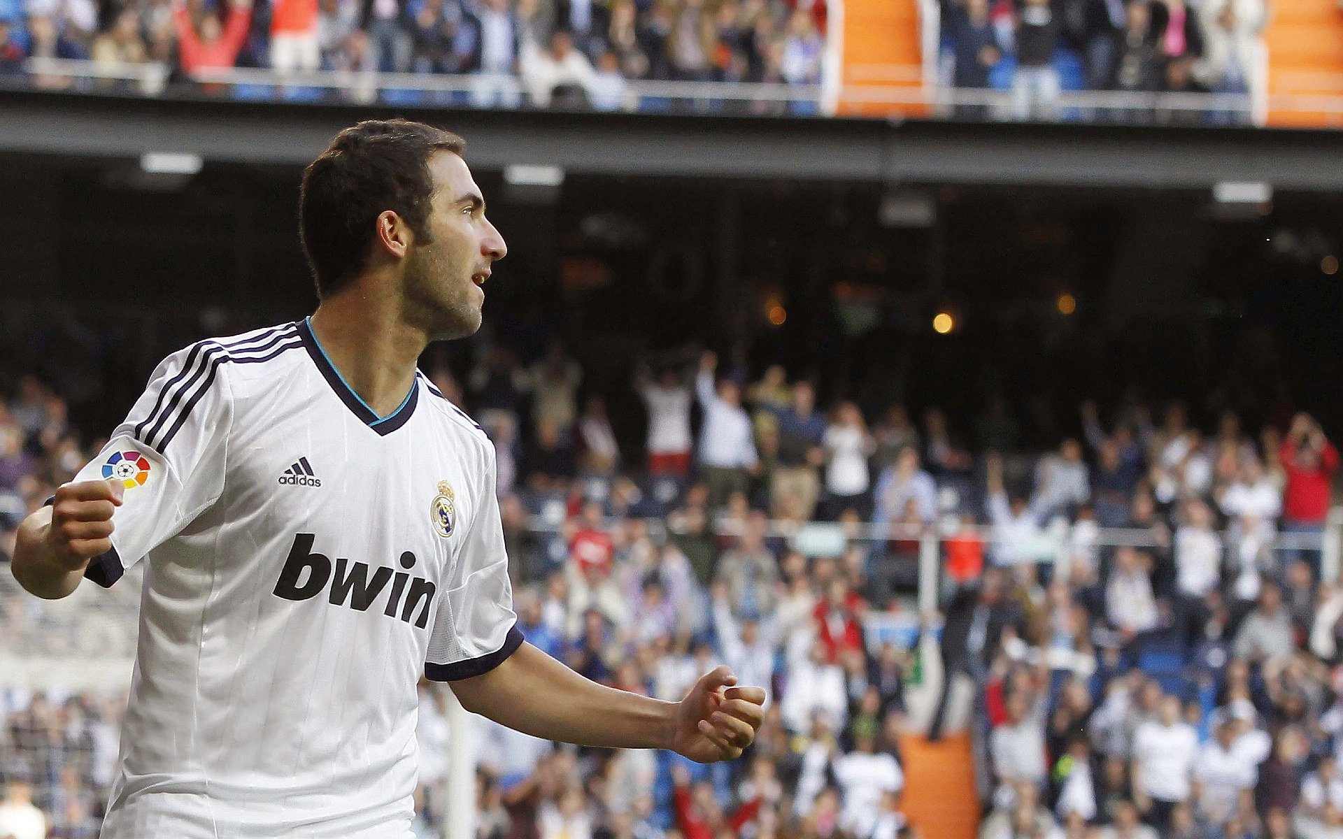 爱游戏综合娱乐-体育新闻中心球迷文化探秘，球迷活动